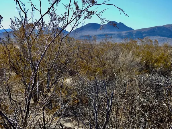 Terlingua, TX 79852,8623 Starry Night