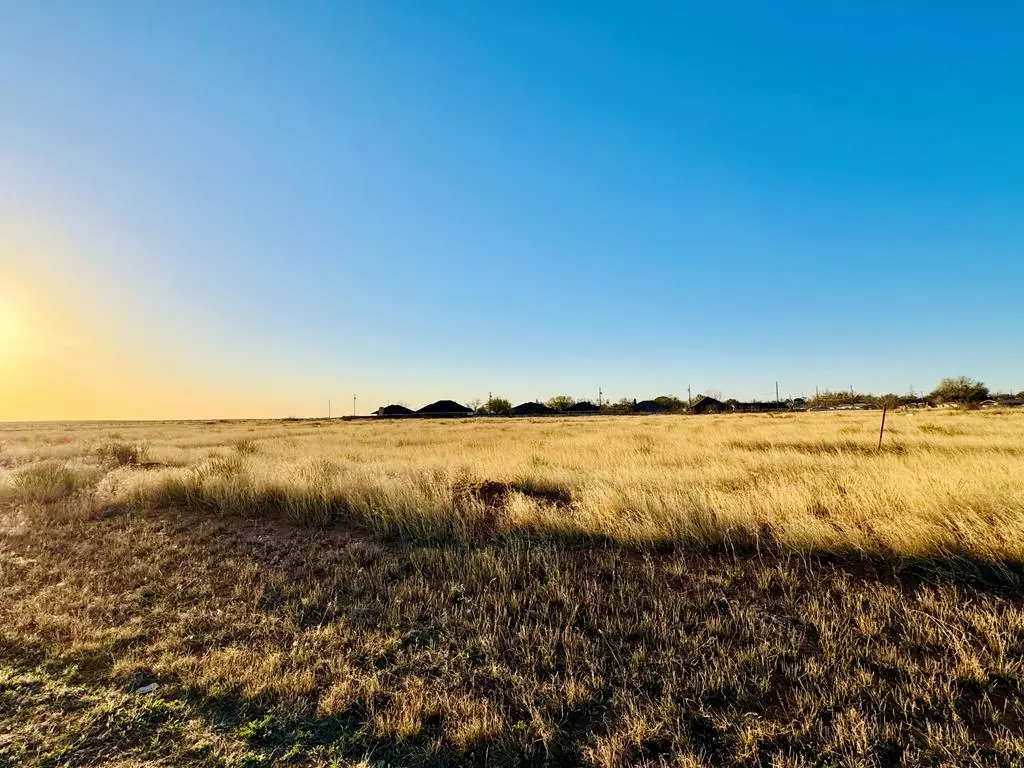 Andrews, TX 79714,1206 Morningside