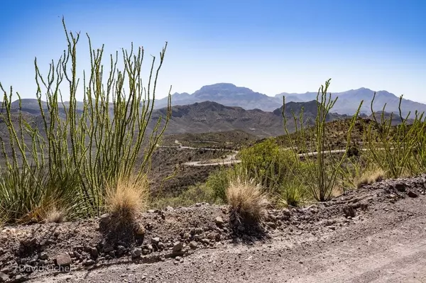 Presidio, TX 79845,TBD Pinto Canyon Rd