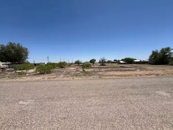 Wink, TX 79789,301-305 Monahans