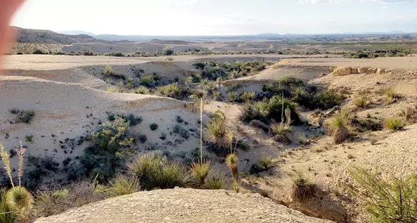 Terlingua, TX 79852,1701 La Luna Rd