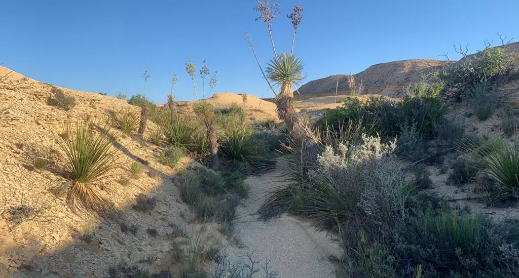 Terlingua, TX 79852,1701 La Luna Rd