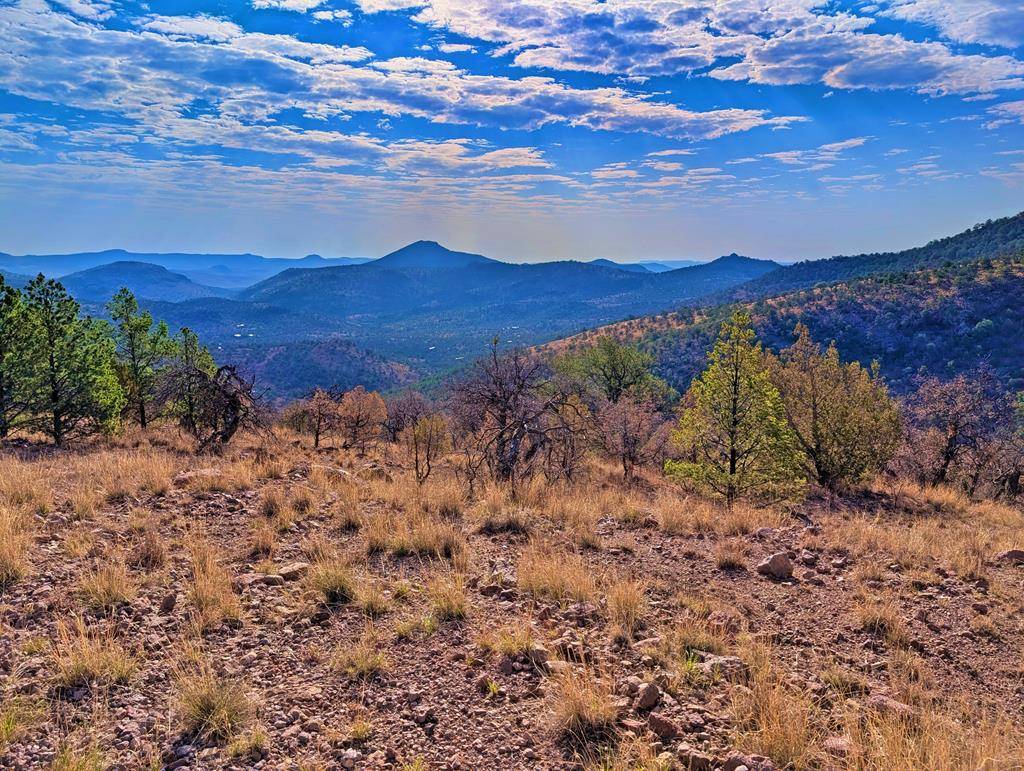 117 Apache Mountain Trail, Fort Davis, TX 79734