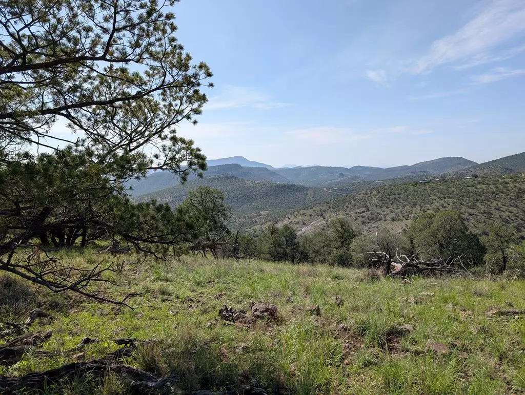 Fort Davis, TX 79734,301 Low Meadow Trail
