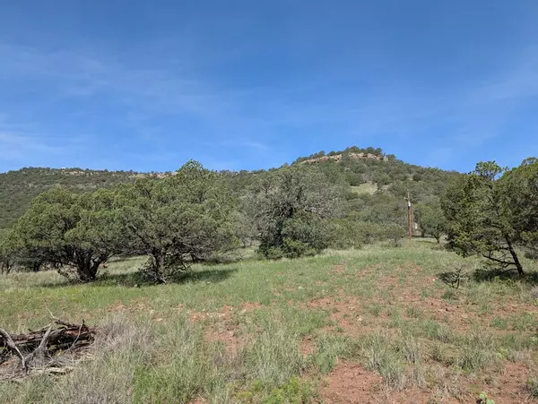 Fort Davis, TX 79734,301 Low Meadow Trail