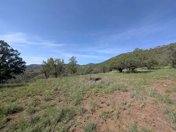 Fort Davis, TX 79734,301 Low Meadow Trail