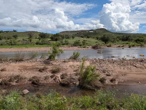 Fort Davis, TX 79734,105 Limpia Creek Drive