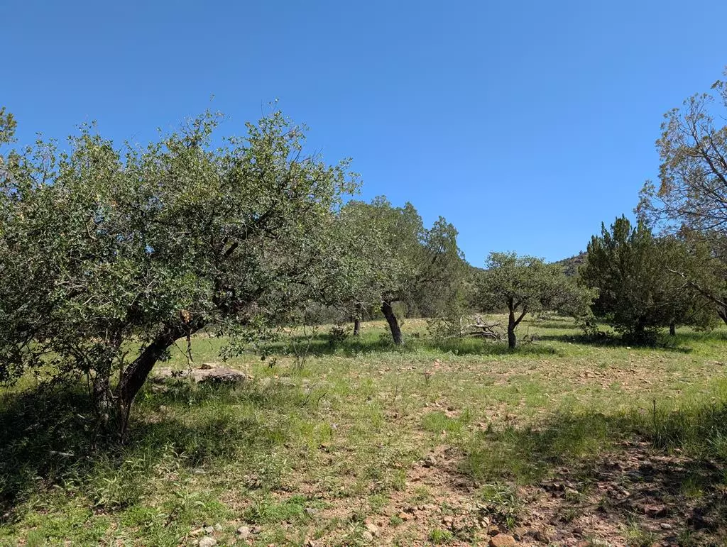 Fort Davis, TX 79734,223 Squaw Valley Trail