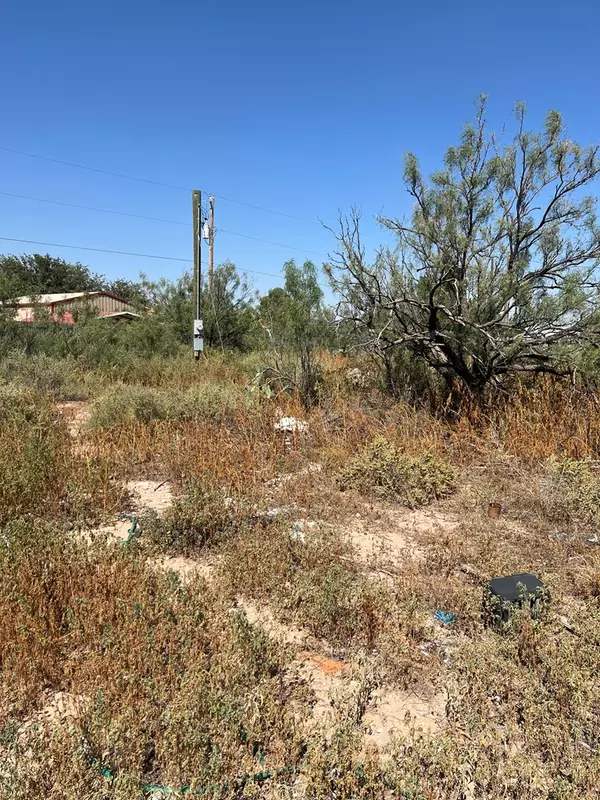 Odessa, TX 79763,11568 Quinn