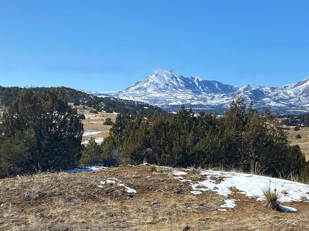 Walsenburg, CO 81089,Address not disclosed