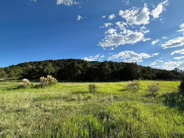 Trinidad, CO 81082,421 Memory Ln