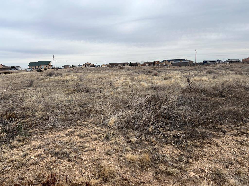 487 Scandia Dr, Pueblo West, CO 81007