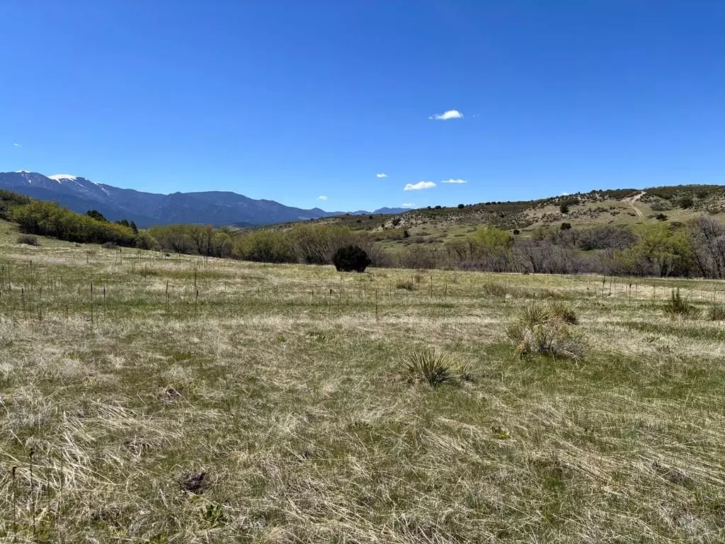 Colorado City, CO 81019,Lot 427 Patsy Cir