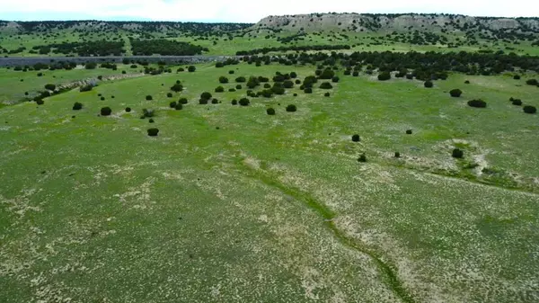Rye, CO 81069,Lot 110 Locomotive Ct