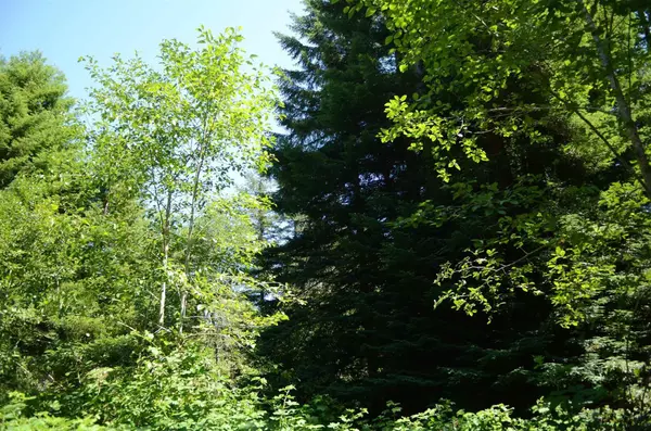 Crescent City, CA 95531,Lot 36 Bell Hole
