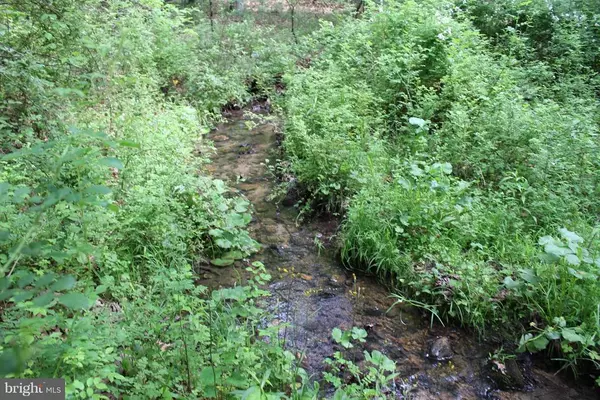 Lost River, WV 26810,C-42 TROUT STREAM RD