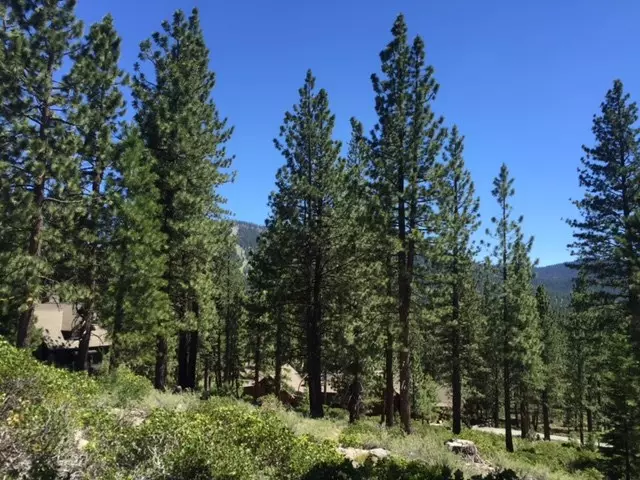 8632 Lloyd Tevis #Lot 159, Truckee, CA 96161