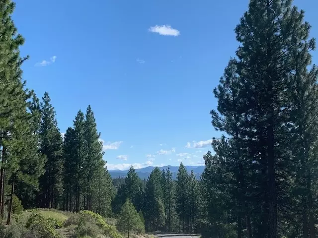 1074 Moon Shadow, Clio, CA 96106