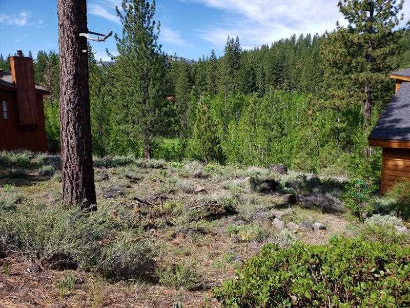 309 Skidder Trail, Truckee, CA 96161