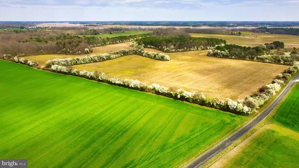 Trappe, MD 21673,SPRING FARM