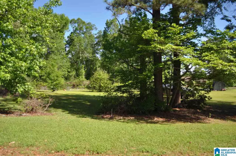 0 LOPER LN #1, Maplesville, AL 36750