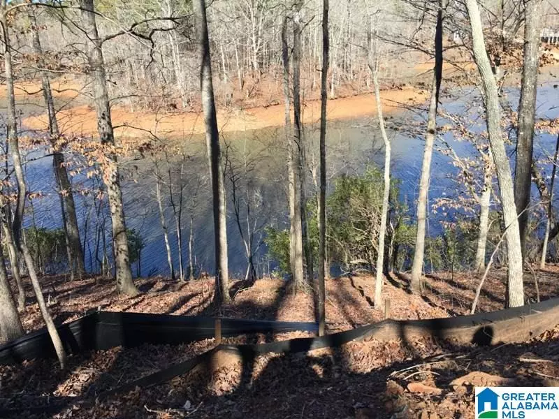 Lot 14 POINT SOUTH DRIVE #14, Wedowee, AL 36278