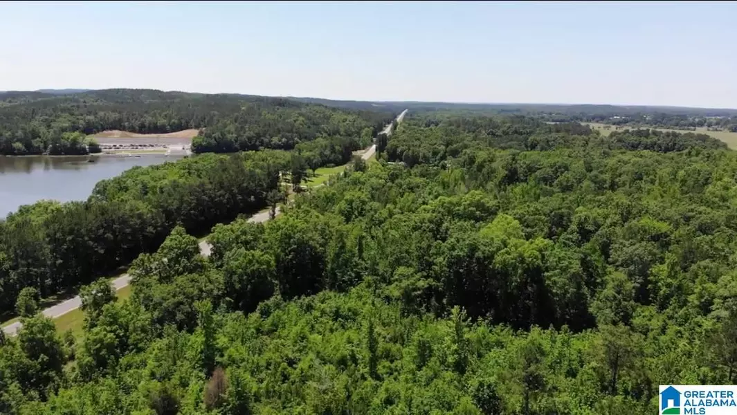 HIGHWAY 145 #Lot 3 and 4, Wilsonville, AL 35186