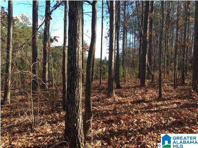 64 HAINES DRIVE #64, Vincent, AL 35178