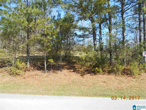 TEEM ROAD #28, Good Hope, AL 35057
