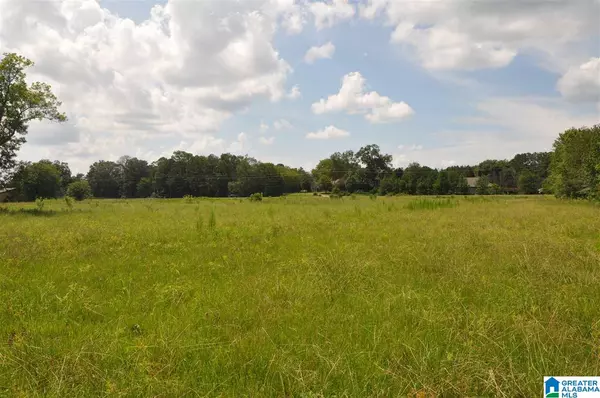 Moody, AL 35004,0 MOODY PARKWAY #acreage