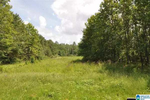 Moody, AL 35004,0 MOODY PARKWAY #acreage