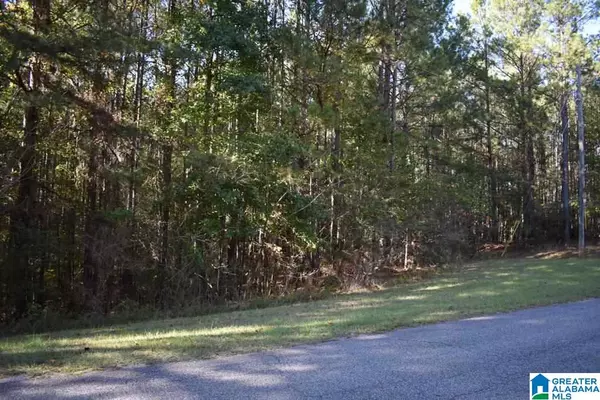 Wedowee, AL 36278,00 PENINSULA DRIVE #1