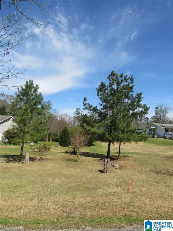 Thorsby, AL 35171,0 OAK STREET #1