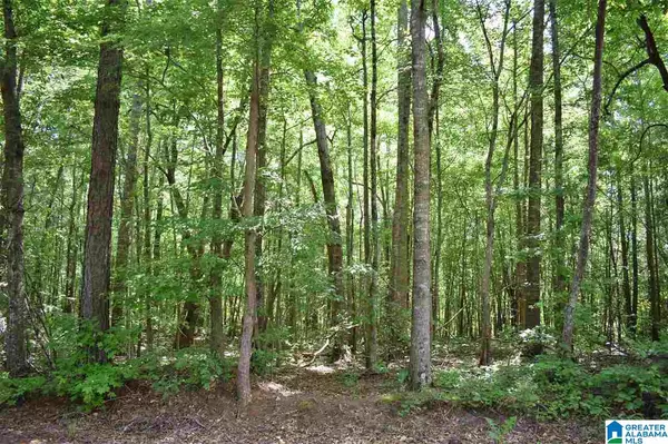 Roanoke, AL 36274,CAUTHEN CIRCLE #LOT 34