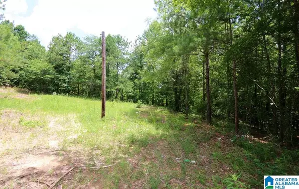 Maplesville, AL 36750,350 CO RD 910 #1