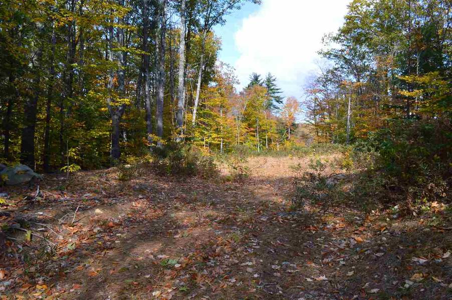 Lot 4 Mountain RD #4, Tuftonboro, NH 03816