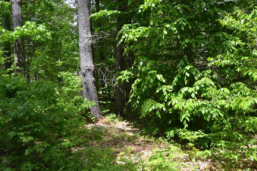 Lot 24 Mirror Lake DR, Tuftonboro, NH 03816