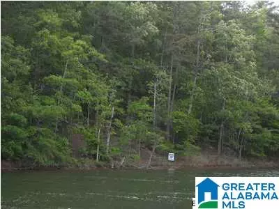 Lot 7 GOLDFINCH LANE #Lot 7, Wedowee, AL 36278