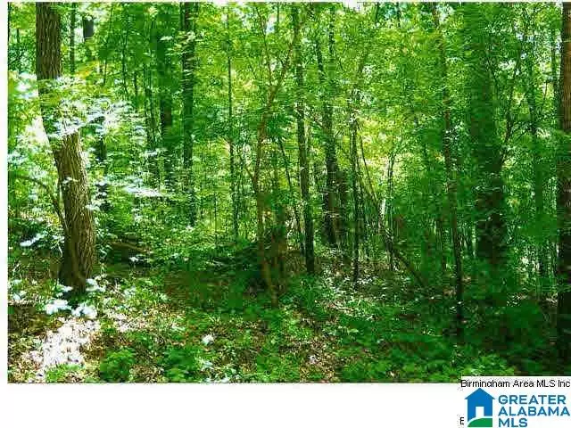 Pell City, AL 35128,61 LAKESIDE VALLEY DR #LOT 13