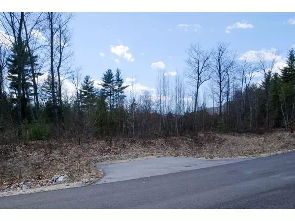 Conway, NH 03818,80 Madeline WAY