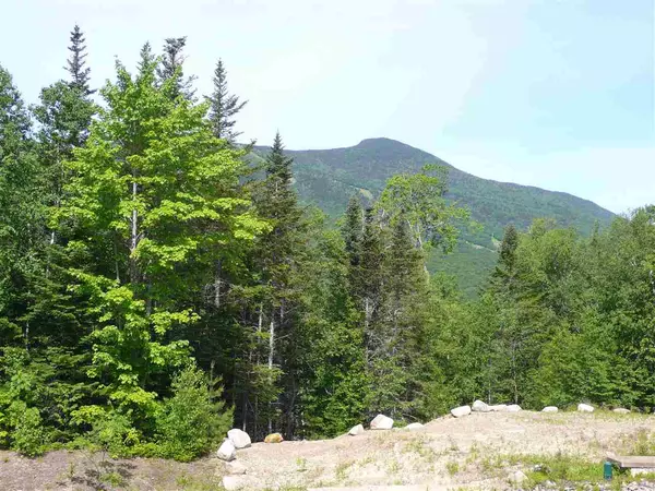 Waterville Valley, NH 03215,36 Lost Pass RD #Lot 22