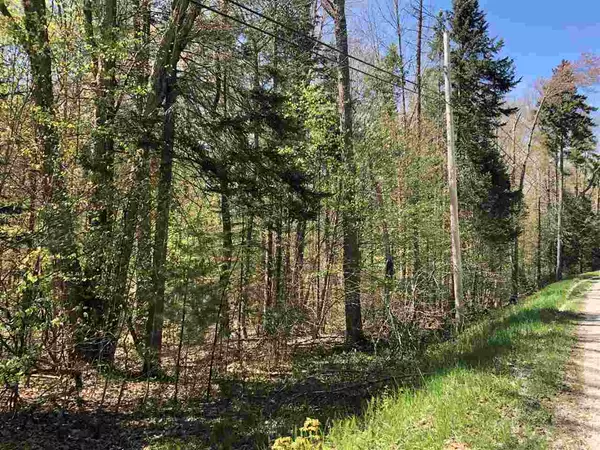 Plymouth, VT 05056,Hawk Spur RD #Lot 2