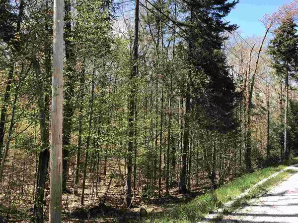 Plymouth, VT 05056,Hawk Spur RD #Lot 2