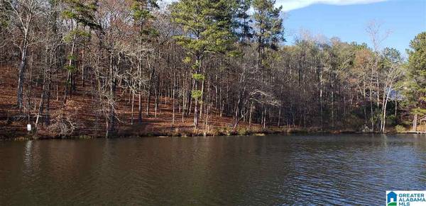 Lot 5 BIG Y COVE LOOP #5,  Rockford,  AL 35136