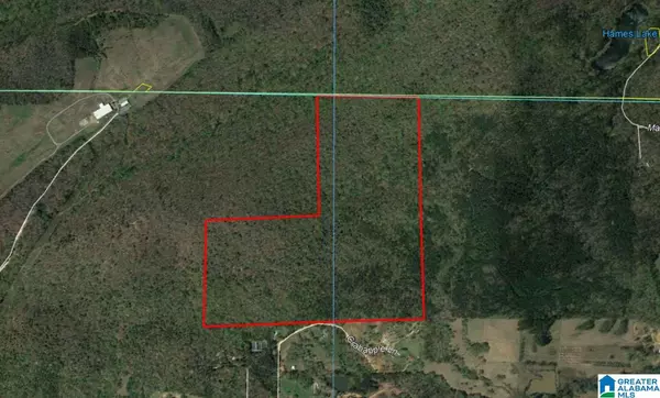 Vandiver, AL 35176,120 Acres CRABAPPLE LN #120 Acres