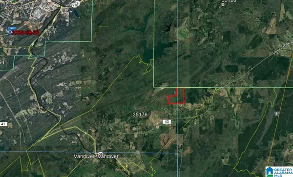 Vandiver, AL 35176,120 Acres CRABAPPLE LN #120 Acres