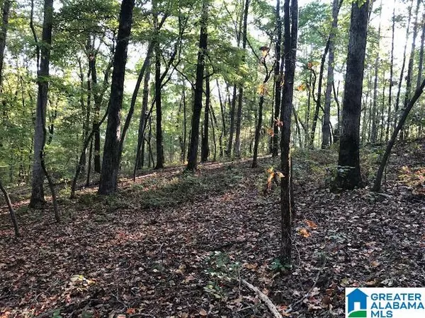 Camp Hill, AL 36850,900 HOLLOWAY RD #58 Ac.