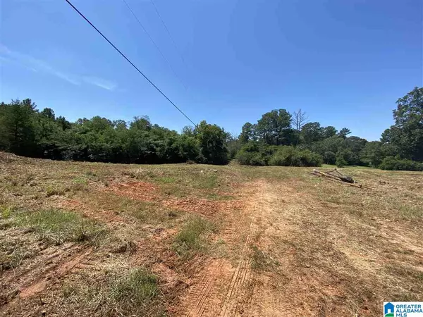 989 STATE FARM ROAD #0, Alexandria, AL 36250