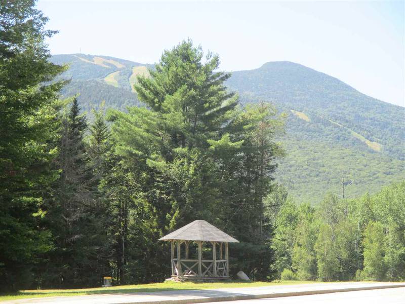 4 Golden Heights RD #29.1, Waterville Valley, NH 03215