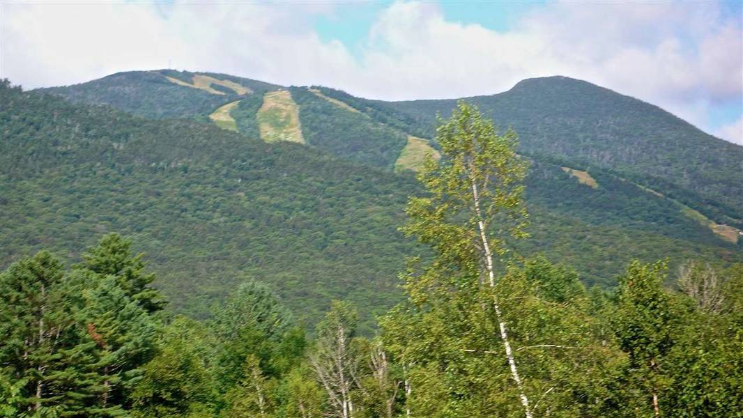 5 Golden Heights RD #36.2, Waterville Valley, NH 03215